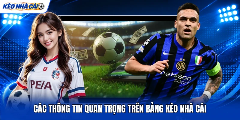 Các thông tin quan trọng trên bảng kèo nhà cái