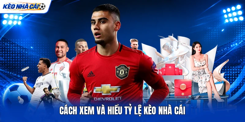Cách xem và hiểu tỷ lệ kèo nhà cái