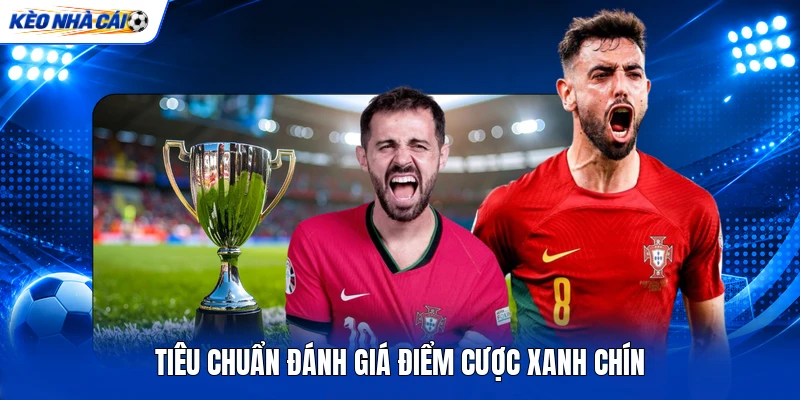 Tiêu chuẩn đánh giá điểm cược xanh chín