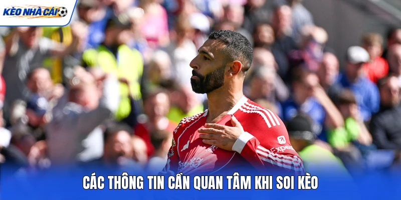 Các thông tin cần quan tâm khi soi kèo