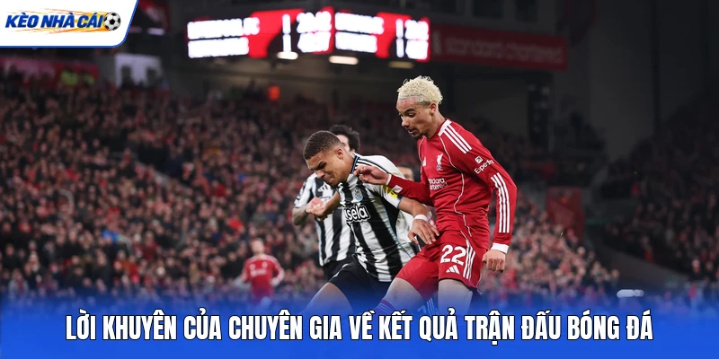 Lời khuyên của chuyên gia về kết quả trận đấu bóng đá
