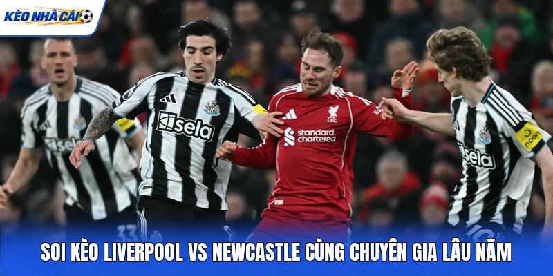 Soi kèo Liverpool vs Newcastle cùng chuyên gia lâu năm