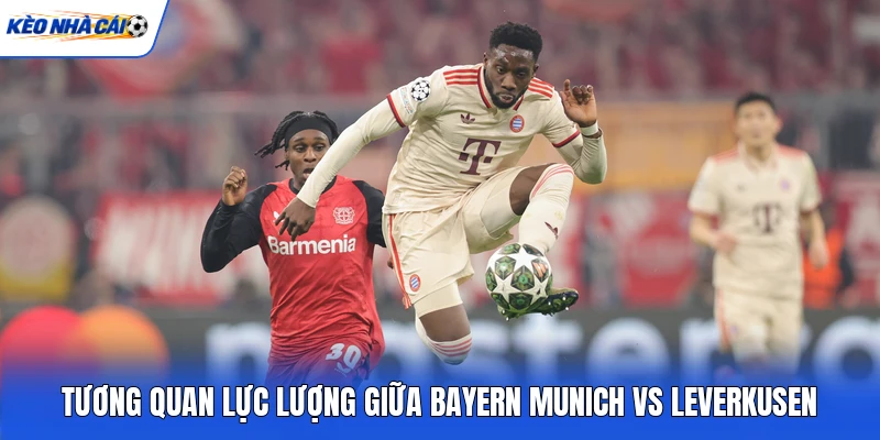 Tương quan lực lượng giữa Bayern Munich vs Leverkusen
